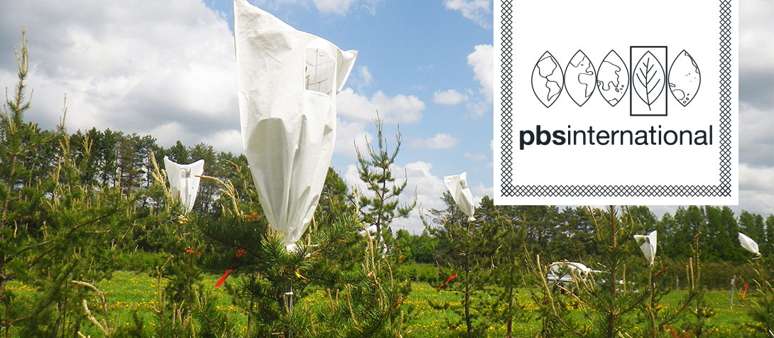 Pollination bag specialists
